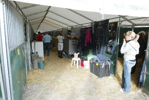 1e dag KVB Jonge Paarden te Gesves